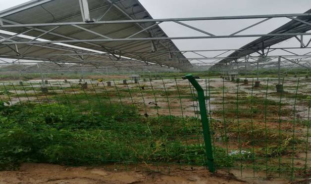 ae6a2c34305580ccf9974fd5c23095a