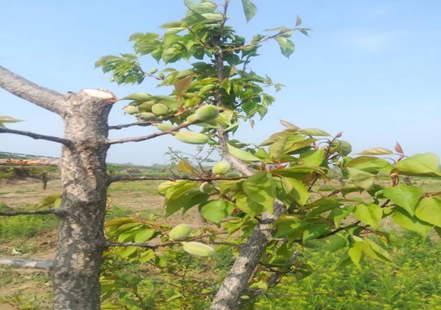 13f210b5250e4c992331da52db582e2