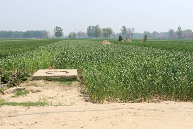 ca4a08de26fb619125d71896b4fbc65