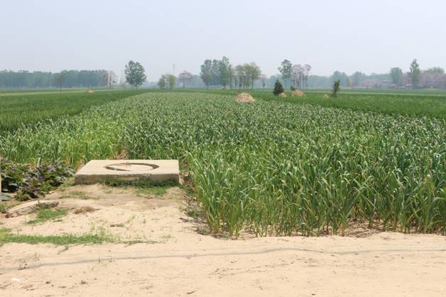 微信图片_20190430115106