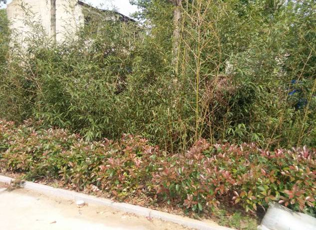 微信图片_201904300957554