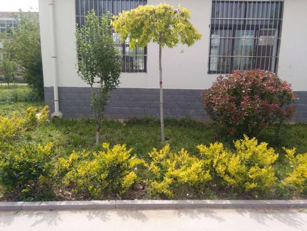 微信图片_201904300957552