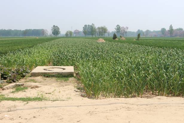 ca4a08de26fb619125d71896b4fbc65