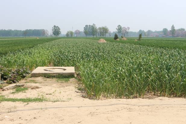 ca4a08de26fb619125d71896b4fbc65